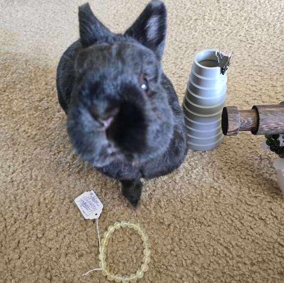 Moss Agate Rondelle Bracelet - Picture 9 of 14